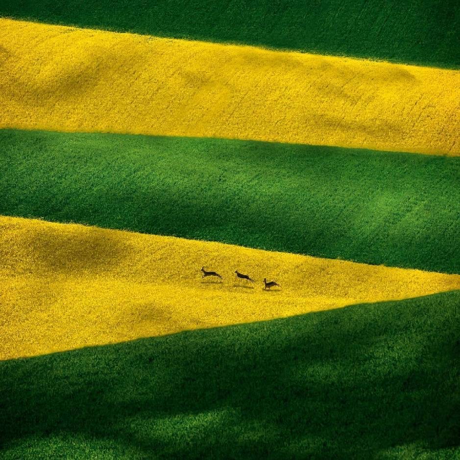 林伟俊的头像-搞钱情报局