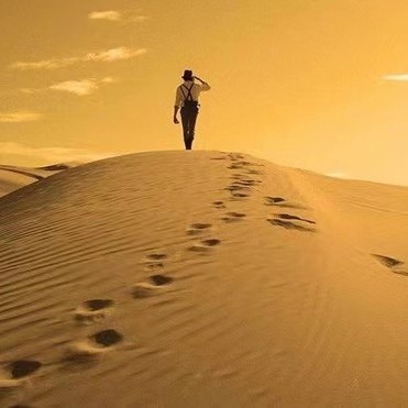 搞钱小哥的头像-搞钱情报局