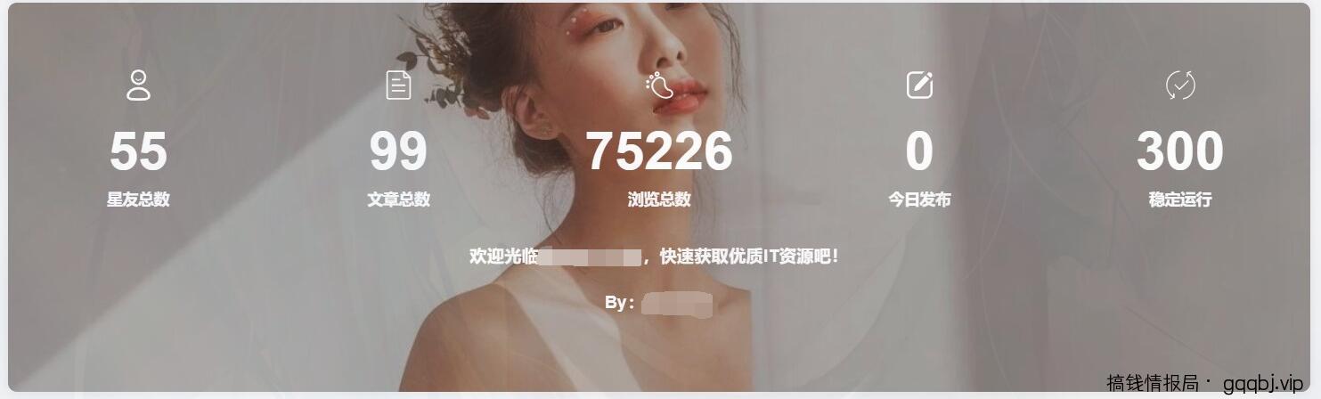 wordpress添加底部统计信息模块小工具