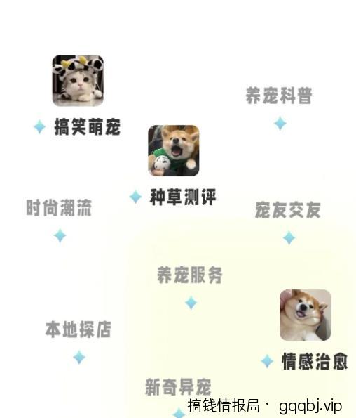 宠胖胖撸金项目，新平台放水，无脑搬砖，日入100+