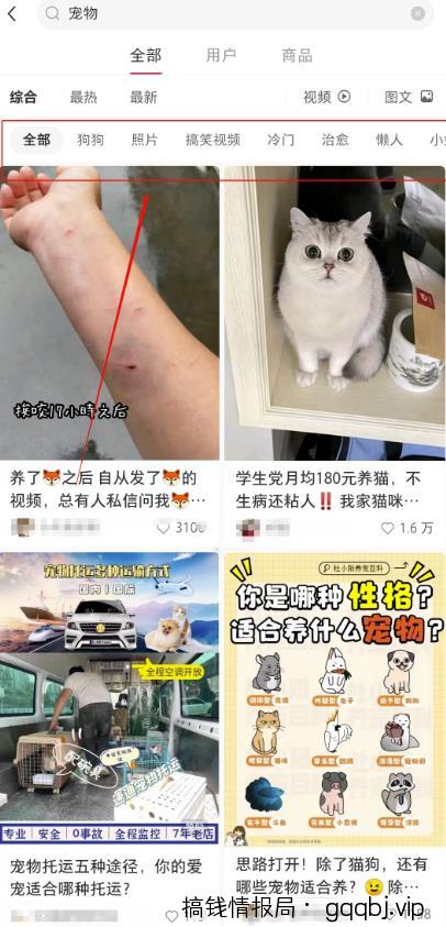 宠胖胖撸金项目，新平台放水，无脑搬砖，日入100+