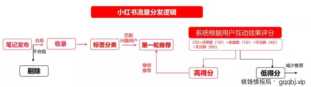 如何利用小红书搜索位引流精准粉丝？