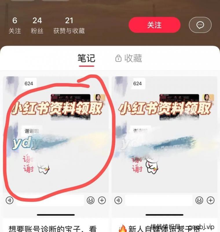 小红书虚拟资料项目实操复盘，保姆级搞钱玩法，月入2W＋！