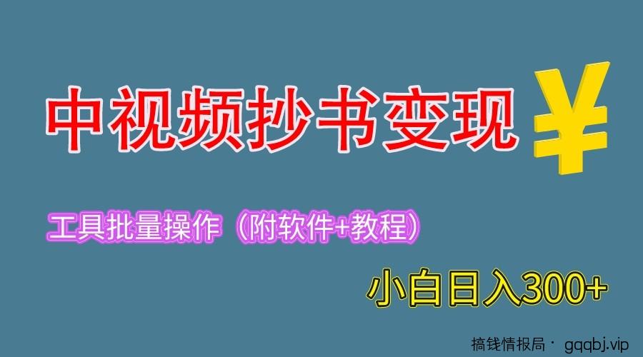 2023中视频抄书变现（附工具+教程），一天300+，特别适合新手操作的副业-搞钱情报局