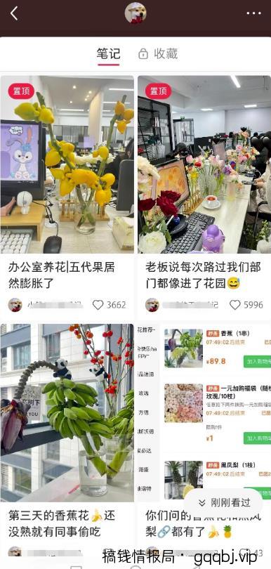 小红书导流快团团卖货实操案例,日引200+精准粉-搞钱情报局