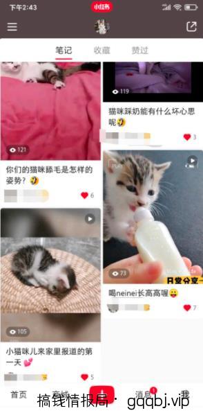 如何通过小红书0成本引流到变现闭环？-搞钱情报局