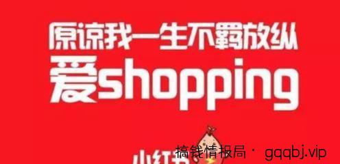 适合新手操作的小红书博主流量变现副业玩法-搞钱情报局