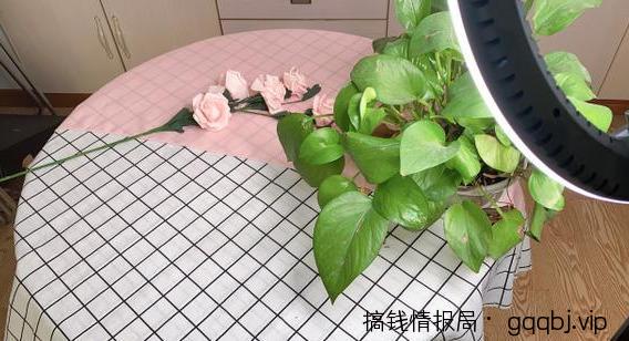 干货分享：真人出镜原创视频引流玩法与思路