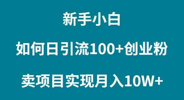 （9556期）新手小白如何通过卖项目实现月入10W+-搞钱情报局