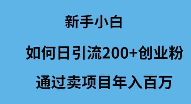 (9668期)新手小白如何日引流200+创业粉通过卖项目年入百万-搞钱情报局