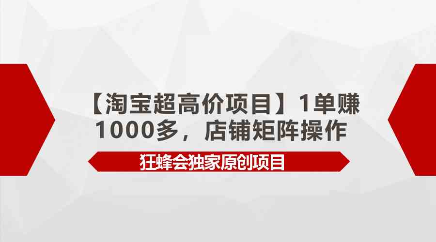 (9849期)【淘宝超高价项目】1单赚1000多,店铺矩阵操作-搞钱情报局