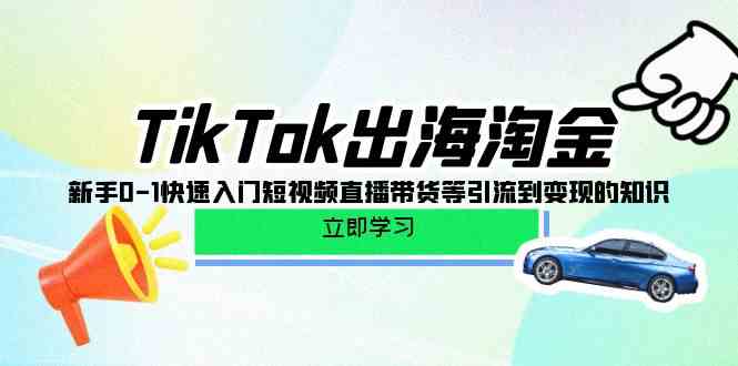 （10035期）TikTok-出海淘金，新手0-1快速入门短视频直播带货等引流到变现的知识-搞钱情报局