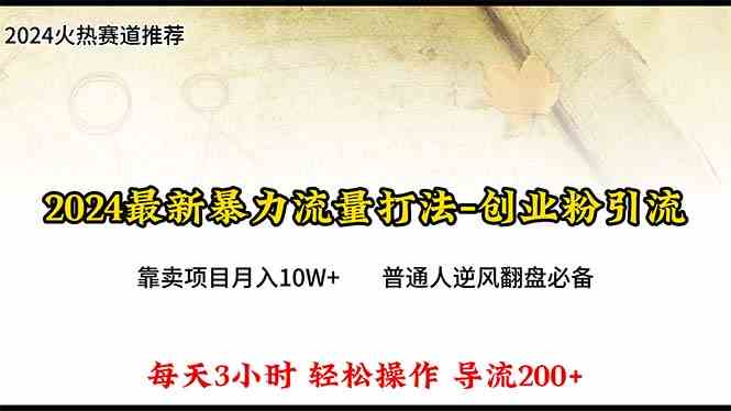 (10151期)2024年最新暴力流量打法,每日导入300+,靠卖项目月入10W+-搞钱情报局