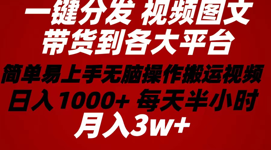 （10667期）2024年 一键分发带货图文视频  简单易上手 无脑赚收益 每天半小时日入1…-搞钱情报局