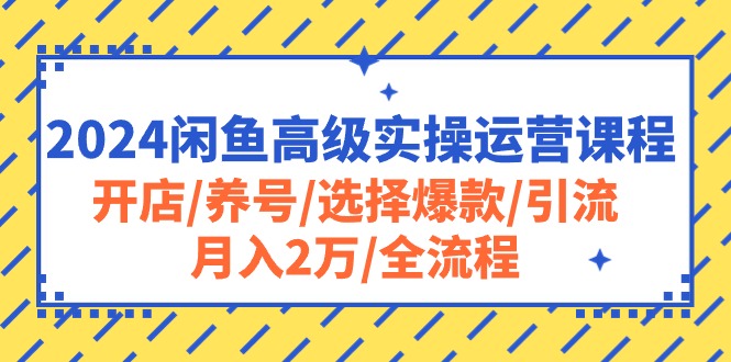 （10711期）2024闲鱼高级实操运营课程：开店/养号/选择爆款/引流/月入2万/全流程-搞钱情报局
