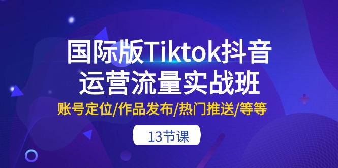 (10712期)国际版Tiktok抖音运营流量实战班:账号定位/作品发布/热门推送/等等-13节-搞钱情报局