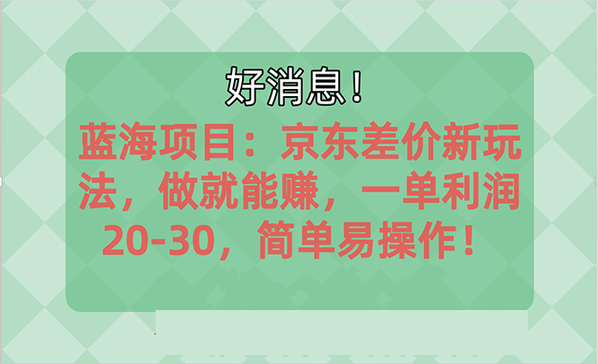 （10989期）越早知道越能赚到钱的蓝海项目：京东大平台操作，一单利润20-30，简单…-搞钱情报局