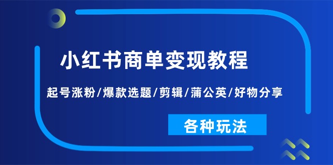 (11164期)小红书商单变现教程:起号涨粉/爆款选题/剪辑/蒲公英/好物分享/各种玩法-搞钱情报局