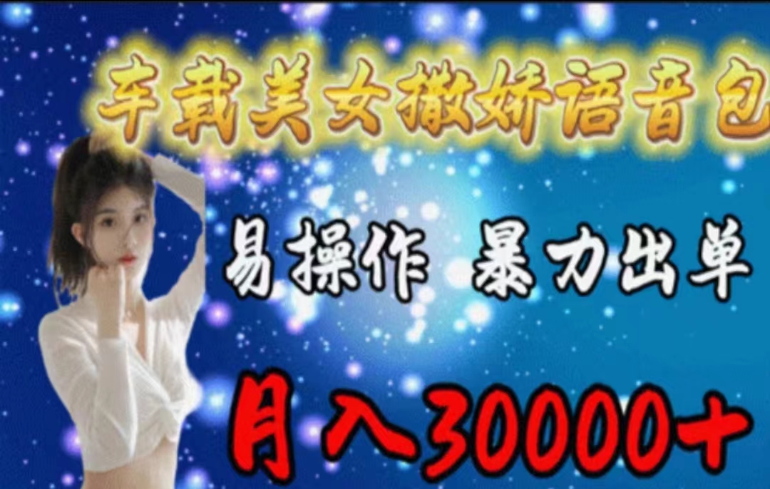 (11249期)车载美女撒娇语音包,执行就出单,月入3000+,小白看完课程就能马上实操-搞钱情报局