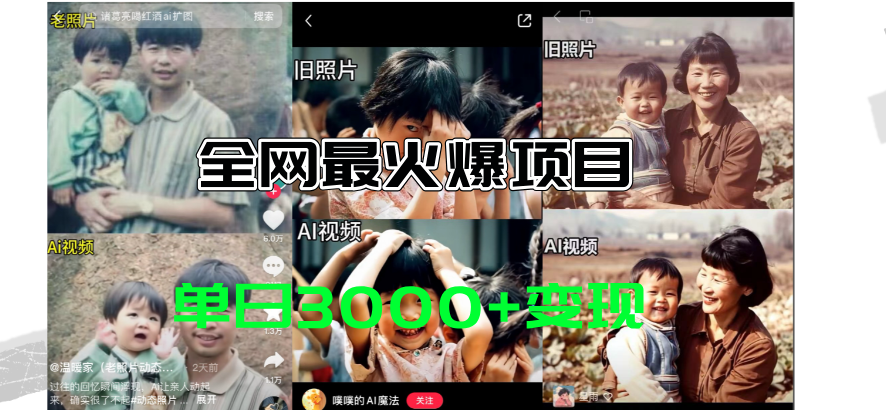 （11546期）全网爆火的AI让老照片动起来教程，蹭热点日赚3000+，内含免费工具一键…-搞钱情报局
