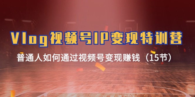 （11654期）Vlog 视频号IP变现特训营，普通人如何通过视频号变现赚钱（15节）-搞钱情报局