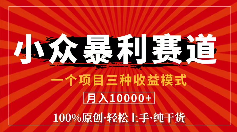 （11695期）视频号【中老年粉深信不疑】小众赛道 100%原创 手把手教学 新号3天收益…-搞钱情报局