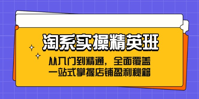 （12276期）淘系实操精英班：从入门到精通，全面覆盖，一站式掌握店铺盈利秘籍-搞钱情报局