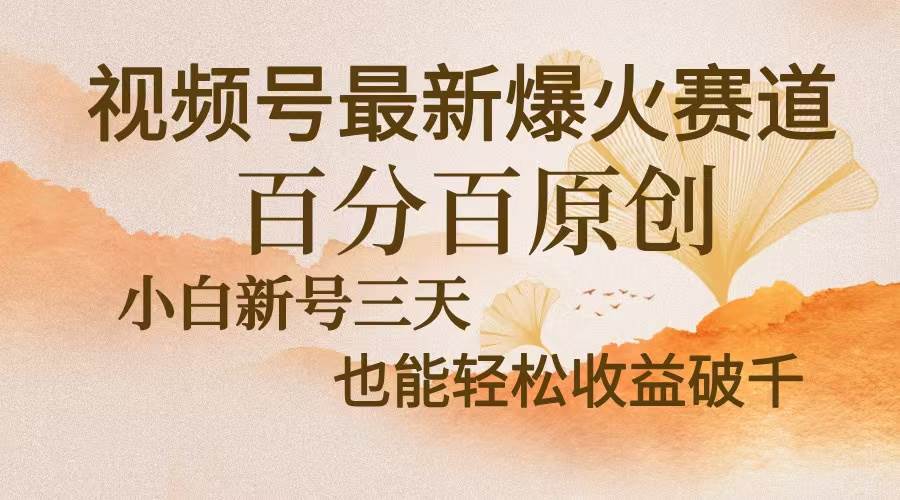 (13225期)视频号最新爆火赛道,中老年粉深信不疑,百分百原创,新号三天收益轻松…-搞钱情报局