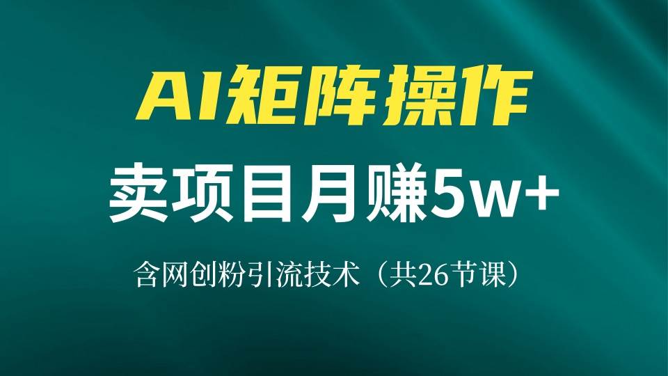 (13335期)网创IP打造课,借助AI卖项目月赚5万+,含引流技术(共26节课)-搞钱情报局