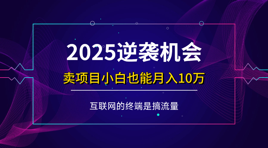 (14622期)项目标题:2025逆袭机会,卖项目小白也能轻松月入10万+-搞钱情报局